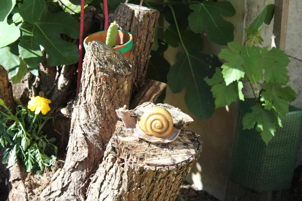 Gite Le Cep D'Or Alsace Saint-Hippolyte  Exterior foto